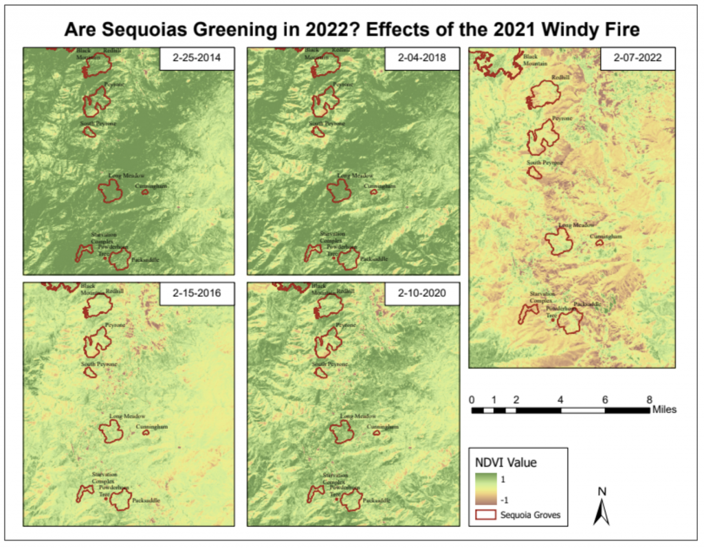 This image has an empty alt attribute; its file name is %E6%88%AA%E5%B1%8F2022-03-06-%E4%B8%8B%E5%8D%888.46.05-1024x799.png