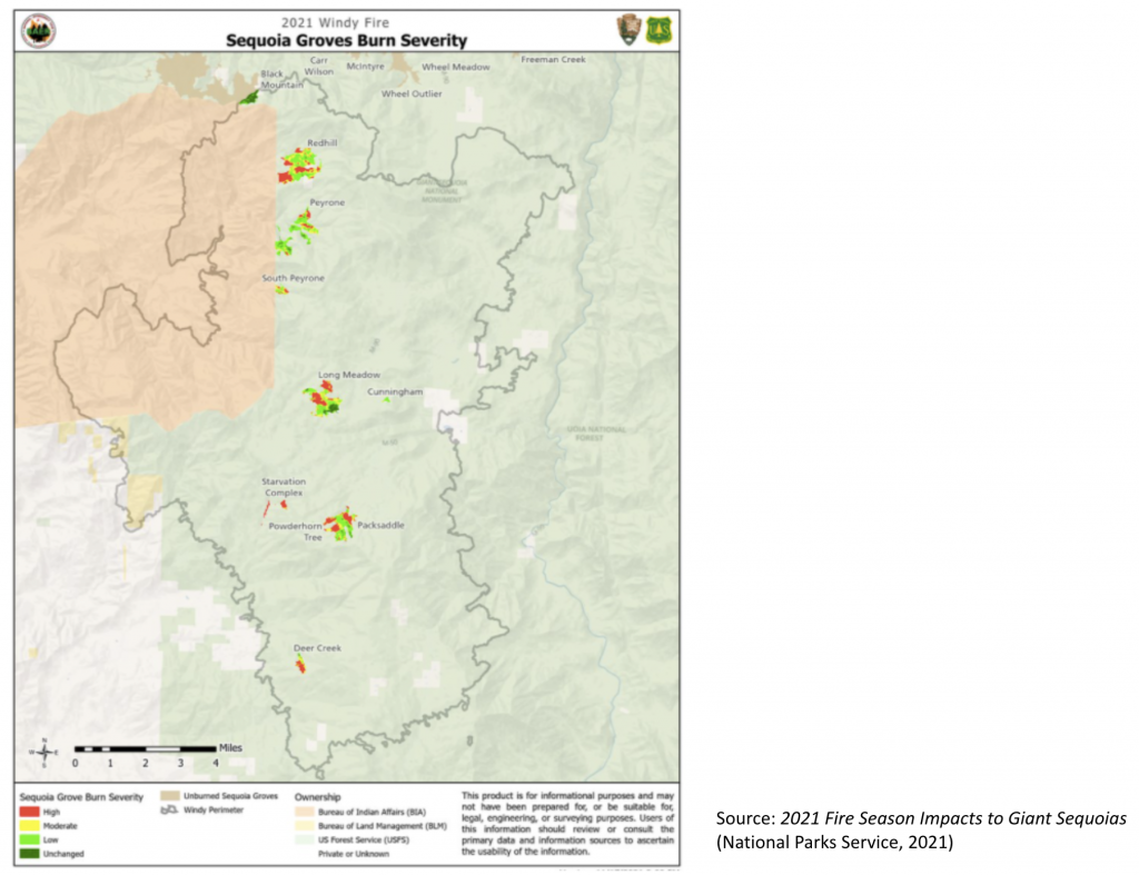 This image has an empty alt attribute; its file name is %E6%88%AA%E5%B1%8F2022-03-06-%E4%B8%8B%E5%8D%888.46.56-1024x787.png