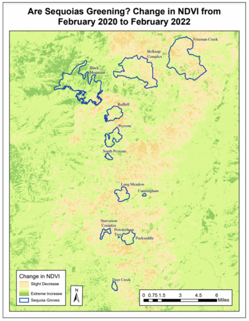 This image has an empty alt attribute; its file name is %E6%88%AA%E5%B1%8F2022-03-06-%E4%B8%8B%E5%8D%888.48.48-794x1024.png